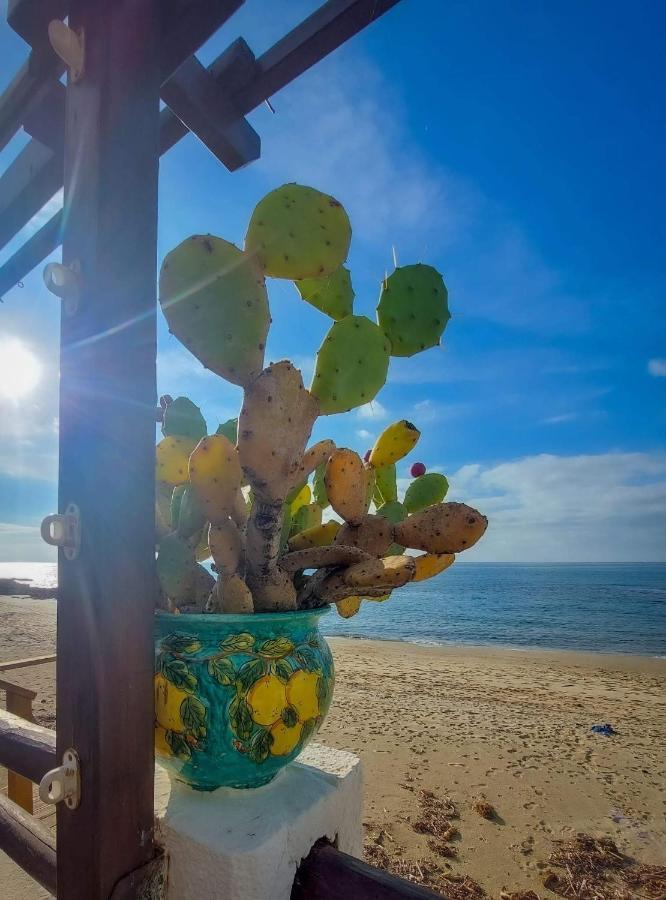 Appartamento La Coffa Agnone Cilento Kültér fotó