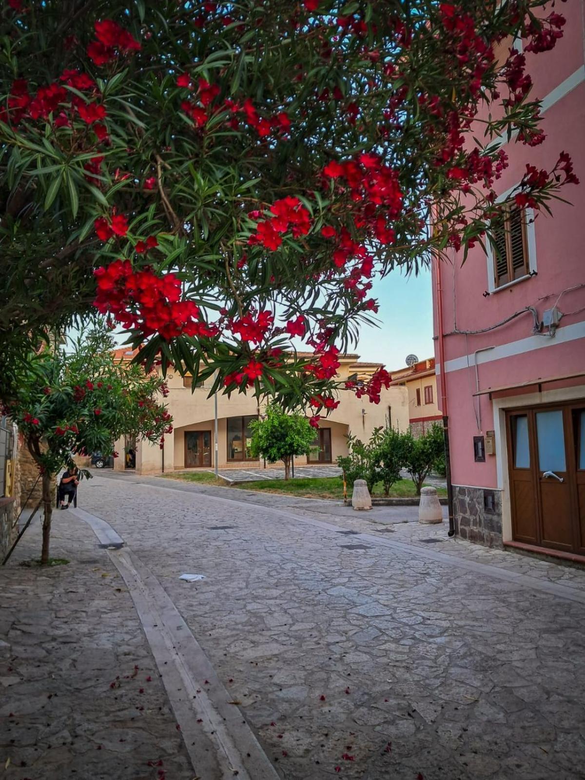 Appartamento La Coffa Agnone Cilento Kültér fotó